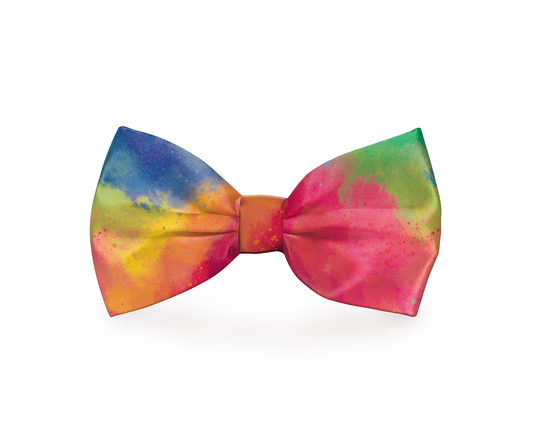 🎀🏳️🌈👑 Bow Down for PRIDE Bow Tie – Rainbow Dog Collar Accessory 🌈🐾