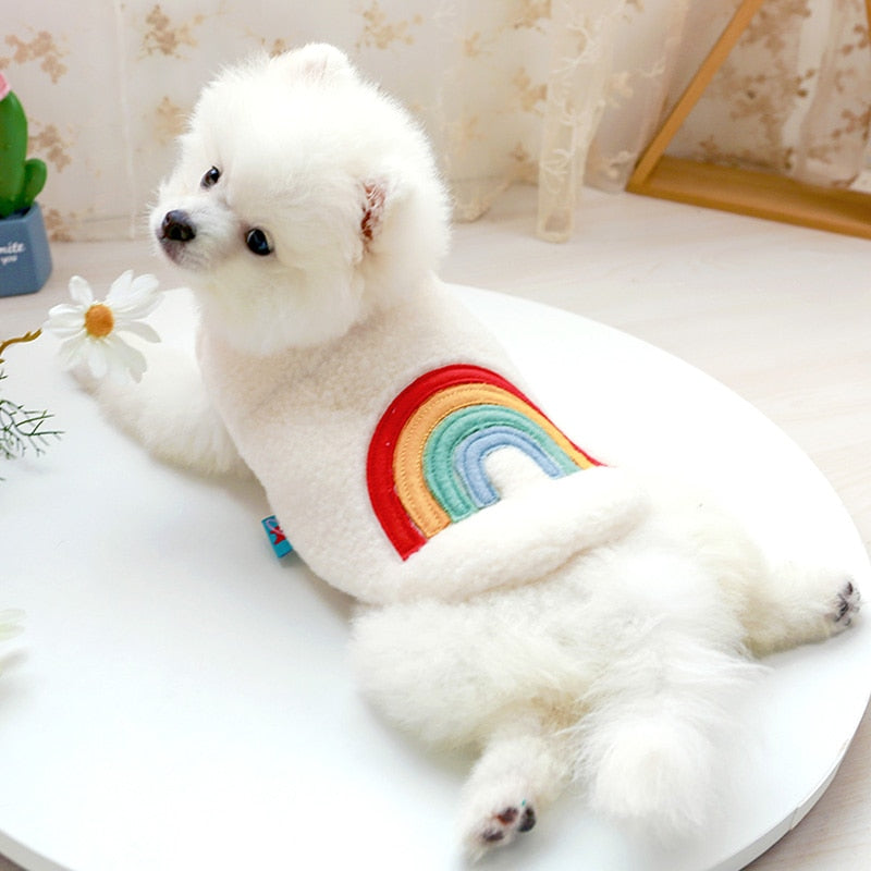 🐾🌈 PetCircle Love & Heart Rainbow Dog Vest – Pride-Perfect Wool Sweater for Pups ❤️