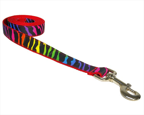 🐾 6 Ft Sassy Zebra PRIDE Rainbow Dog Leash 🌈 – Durable Nylon Leash with Funky LGBTQ+ Flair